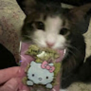 Meet your Posher, Imani